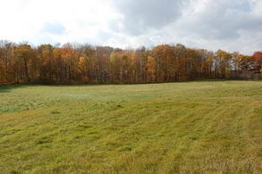 42 Acres, 16th Sdrd - Country Homes for sale and Luxury Real Estate in Caledon and King City including Horse Farms and Property for sale near Toronto